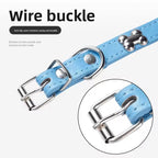 Pet  adjustable collar cat dog collar