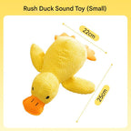 Dog plush frisbee toy