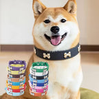 Pet  adjustable collar cat dog collar