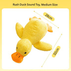 Dog plush frisbee toy