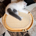 Sisal cat scratching post