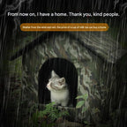 Cats and dogs, suitable for winter, washable and detachable cat beds