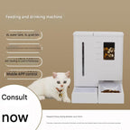 Automatic pet feeder