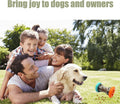 Cat and dog pet food dispenser
