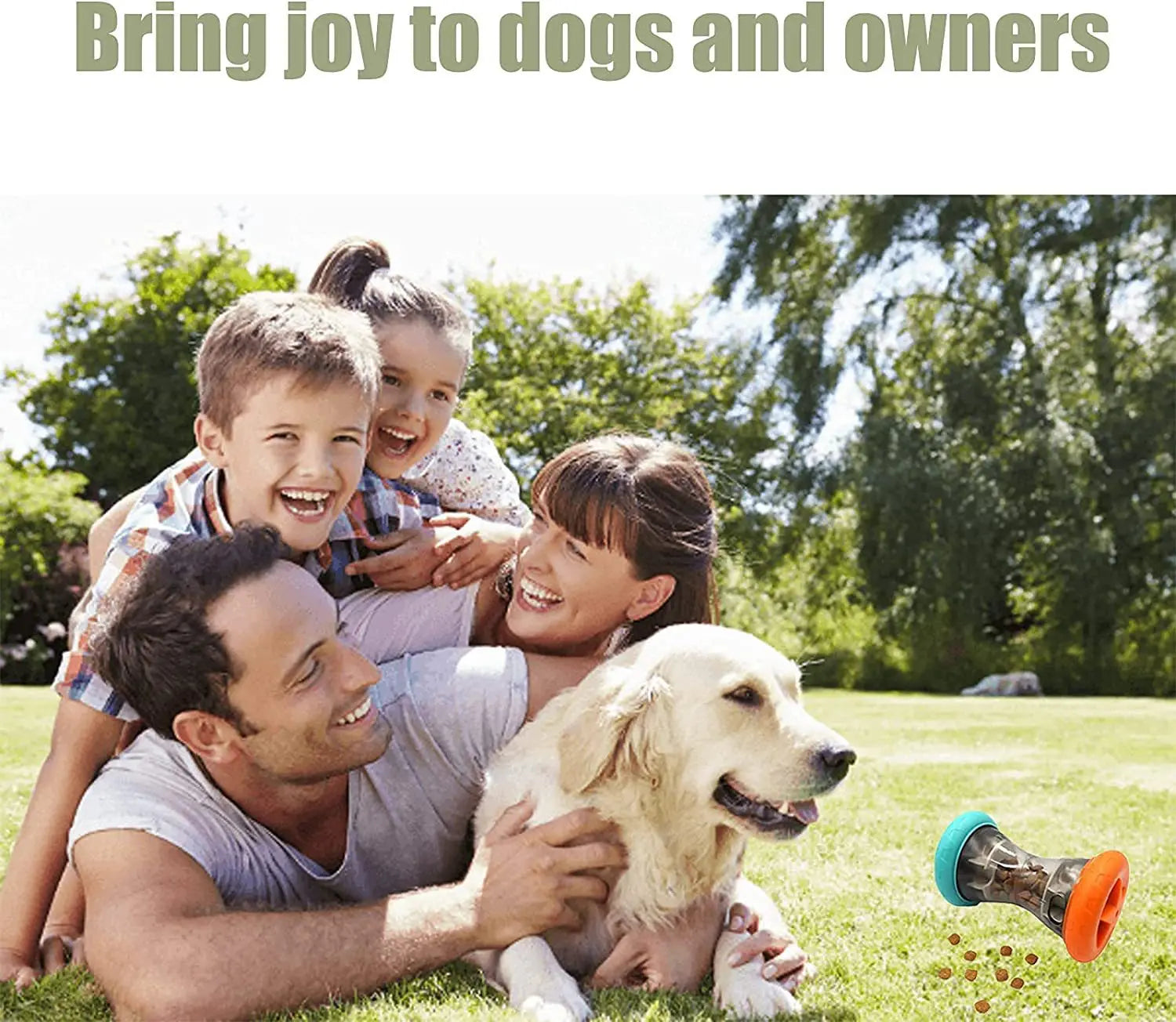 Cat and dog pet food dispenser