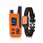pet training collar