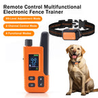 pet training collar