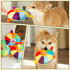Dog plush frisbee toy
