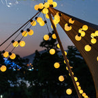 String lights hanging from a tent with a scenic background