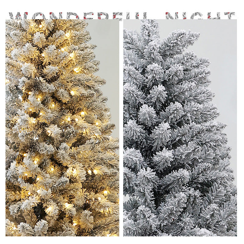 Two Christmas trees, one with lights and one frosted, on a white background.