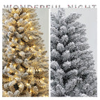 Two Christmas trees, one with lights and one frosted, on a white background.