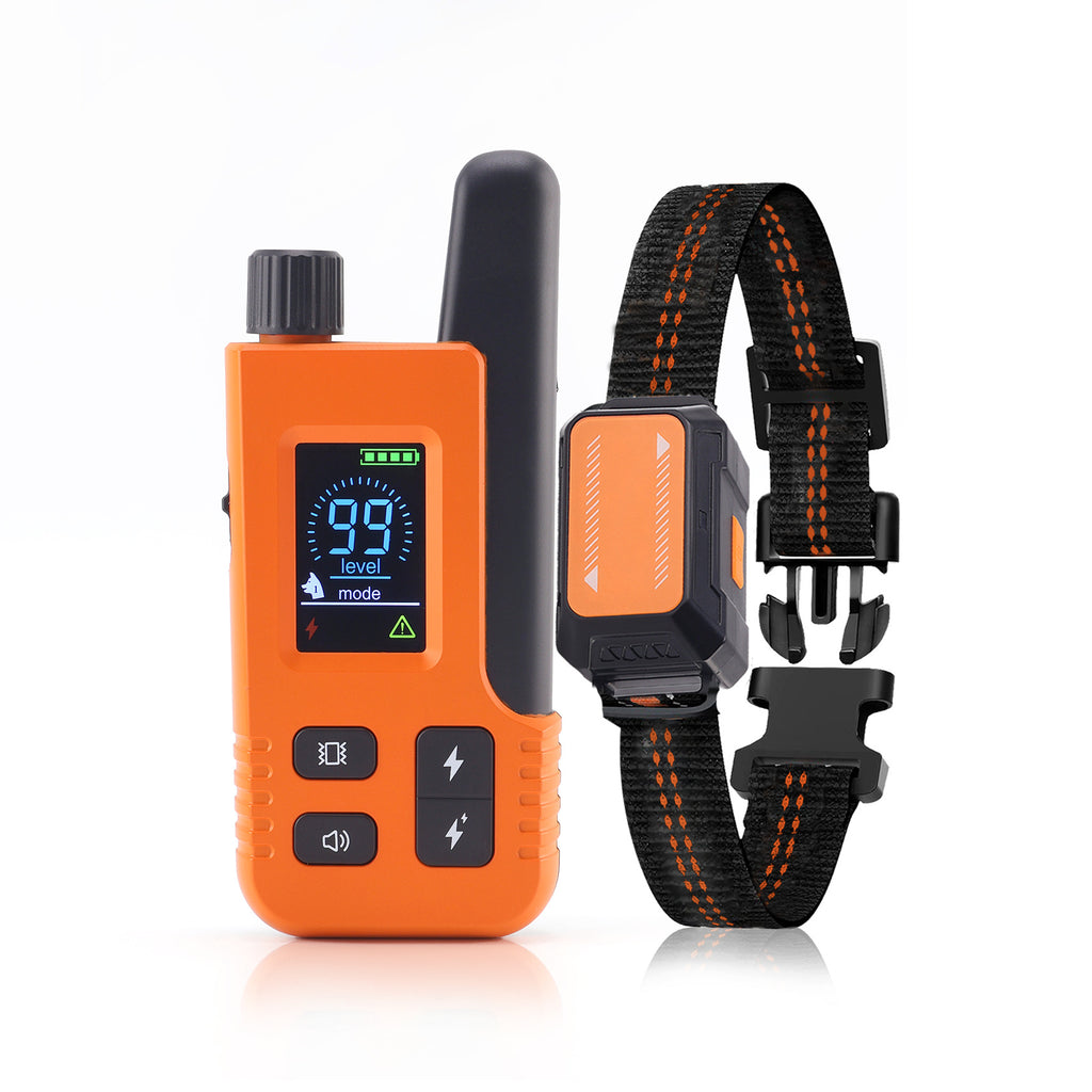 pet training collar