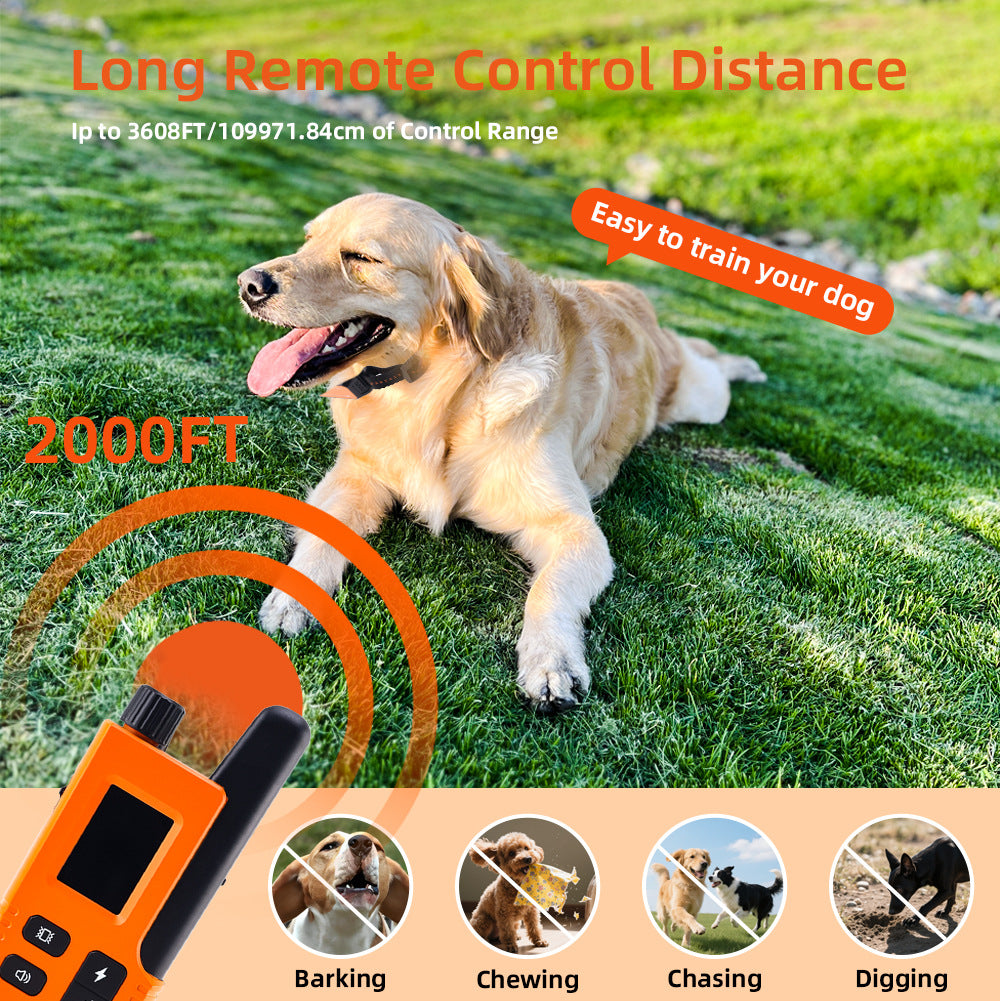 pet training collar
